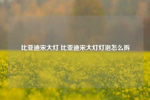 比亚迪宋大灯 比亚迪宋大灯灯泡怎么拆
