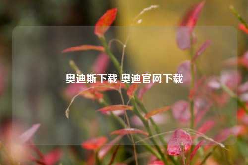 奥迪斯下载 奥迪官网下载