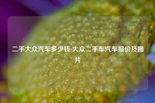二手大众汽车多少钱 大众二手车汽车报价及图片