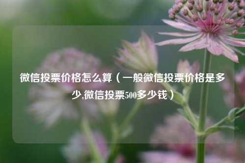 微信投票价格怎么算（一般微信投票价格是多少,微信投票500多少钱）