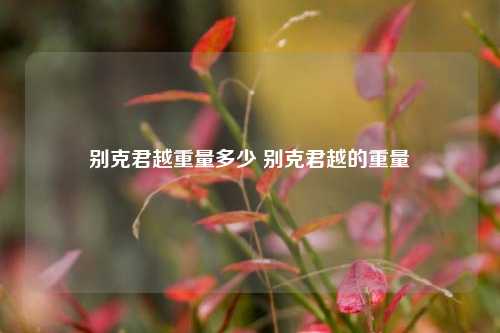 别克君越重量多少 别克君越的重量