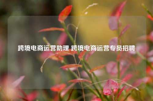跨境电商运营助理 跨境电商运营专员招聘