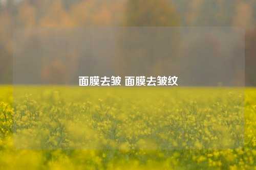 面膜去皱 面膜去皱纹
