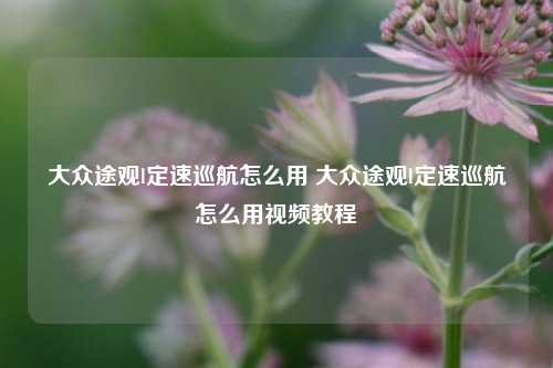 大众途观l定速巡航怎么用 大众途观l定速巡航怎么用视频教程