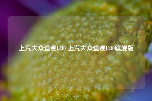 上汽大众途观l330 上汽大众途观l330旗舰版