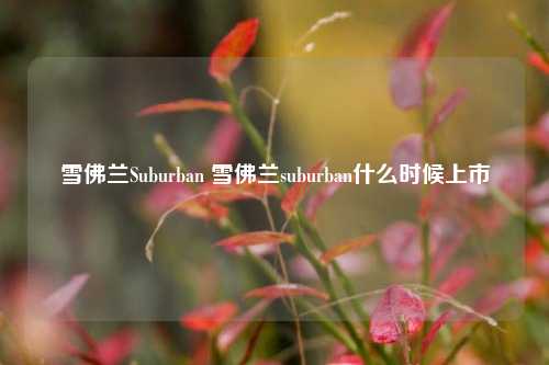 雪佛兰Suburban 雪佛兰suburban什么时候上市