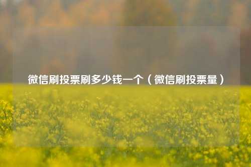 微信刷投票刷多少钱一个（微信刷投票量）