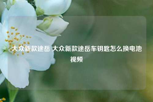 大众新款途岳 大众新款途岳车钥匙怎么换电池视频