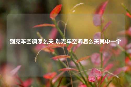 别克车空调怎么关 别克车空调怎么关其中一个