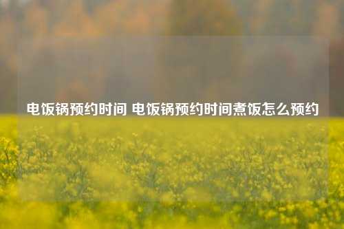 电饭锅预约时间 电饭锅预约时间煮饭怎么预约