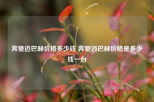 奔驰迈巴赫价格多少钱 奔驰迈巴赫价格是多少钱一台