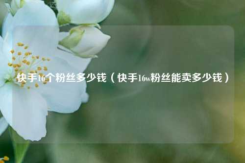 快手16个粉丝多少钱（快手16w粉丝能卖多少钱）
