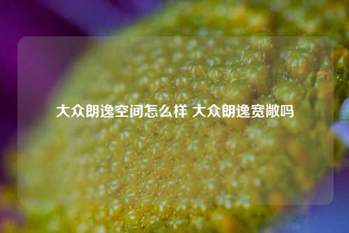 大众朗逸空间怎么样 大众朗逸宽敞吗