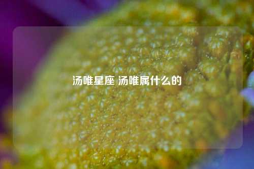 汤唯星座 汤唯属什么的