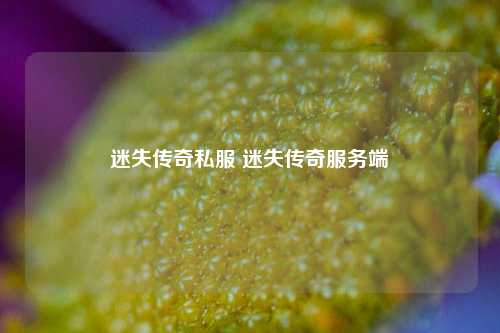 迷失传奇私服 迷失传奇服务端