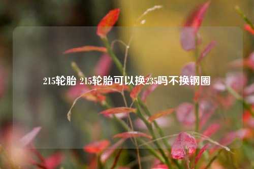 215轮胎 215轮胎可以换235吗不换钢圈