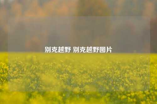 别克越野 别克越野图片