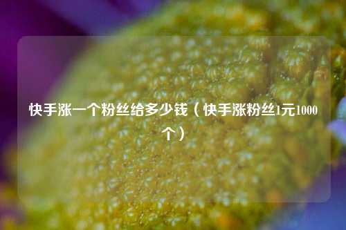 快手涨一个粉丝给多少钱（快手涨粉丝1元1000个）