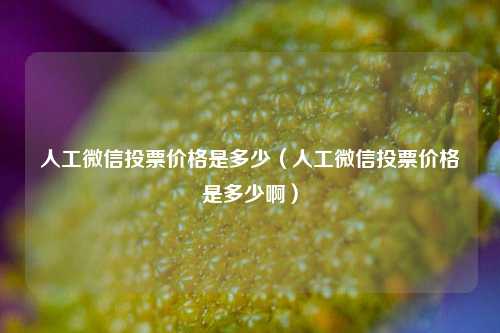 人工微信投票价格是多少（人工微信投票价格是多少啊）