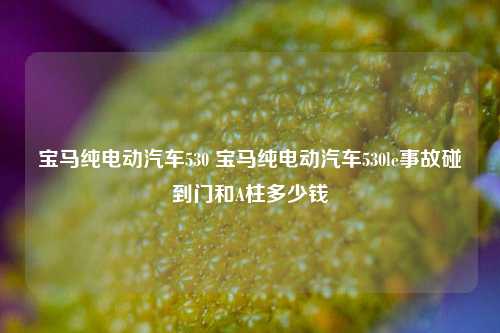 宝马纯电动汽车530 宝马纯电动汽车530le事故碰到门和A柱多少钱