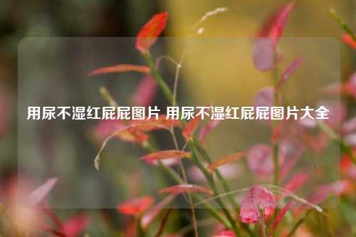 用尿不湿红屁屁图片 用尿不湿红屁屁图片大全