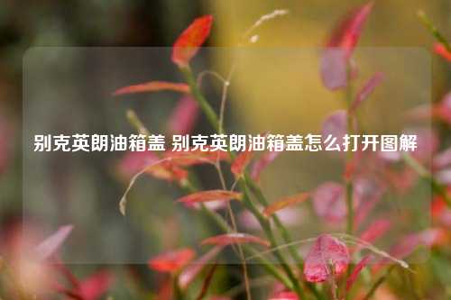 别克英朗油箱盖 别克英朗油箱盖怎么打开图解