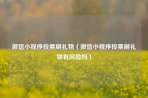 微信小程序投票刷礼物（微信小程序投票刷礼物有风险吗）