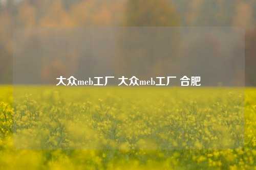 大众meb工厂 大众meb工厂 合肥