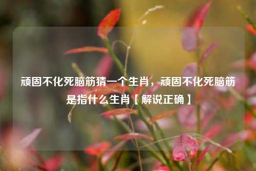 顽固不化死脑筋猜一个生肖，顽固不化死脑筋是指什么生肖【解说正确】