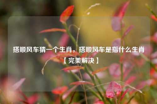 搭顺风车猜一个生肖，搭顺风车是指什么生肖【完美解决】