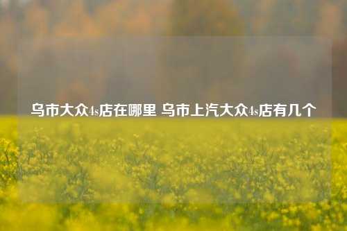 乌市大众4s店在哪里 乌市上汽大众4s店有几个