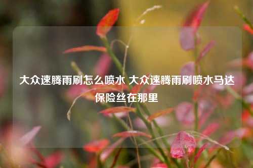 大众速腾雨刷怎么喷水 大众速腾雨刷喷水马达保险丝在那里