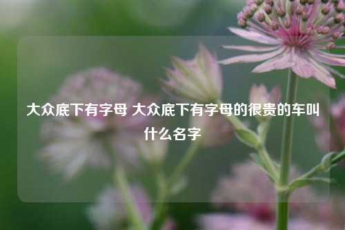 大众底下有字母 大众底下有字母的很贵的车叫什么名字