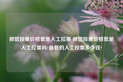 微信投票价格低是人工拉票 微信投票价格低是人工拉票吗?最低的人工投票多少钱?
