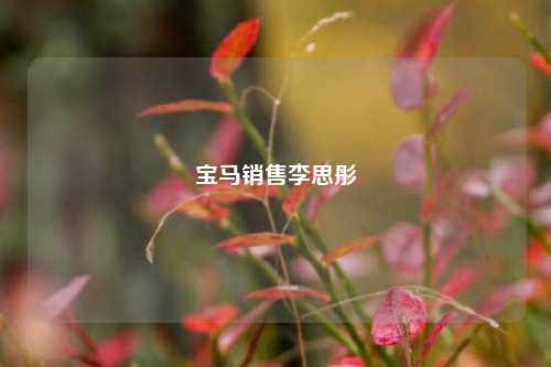 宝马销售李思彤