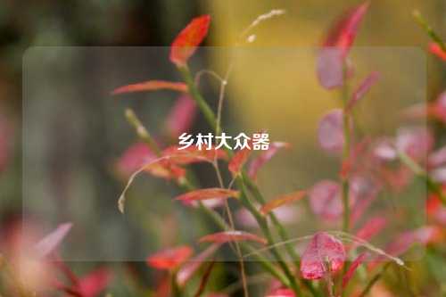 乡村大众器