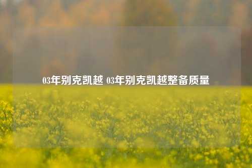 03年别克凯越 03年别克凯越整备质量