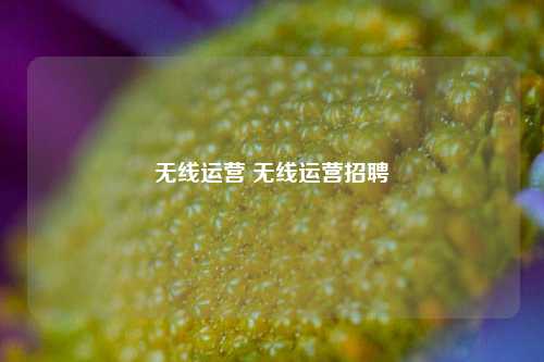 无线运营 无线运营招聘