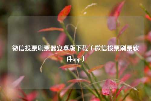 微信投票刷票器安卓版下载（微信投票刷票软件app）