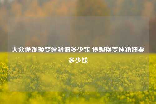 大众途观换变速箱油多少钱 途观换变速箱油要多少钱