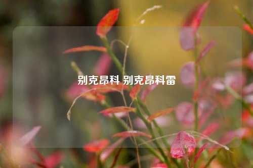 别克昂科 别克昂科雷