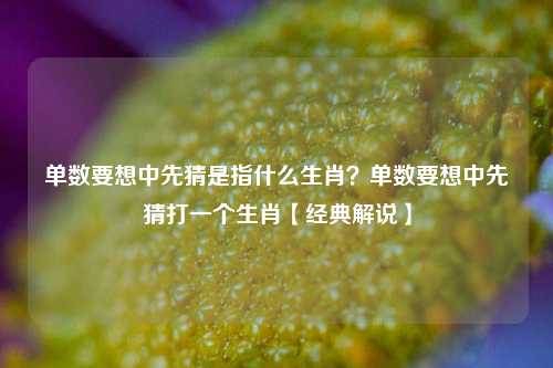 单数要想中先猜是指什么生肖？单数要想中先猜打一个生肖【经典解说】