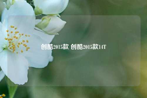 创酷2015款 创酷2015款14T