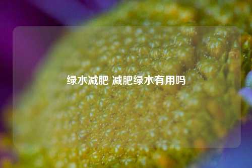 绿水减肥 减肥绿水有用吗