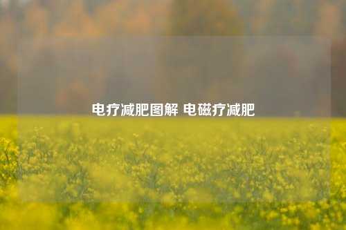 电疗减肥图解 电磁疗减肥