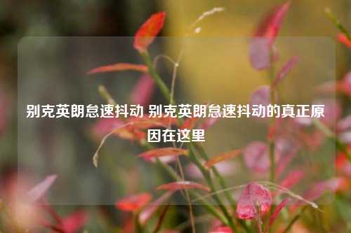 别克英朗怠速抖动 别克英朗怠速抖动的真正原因在这里