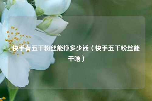 快手有五千粉丝能挣多少钱（快手五千粉丝能干啥）