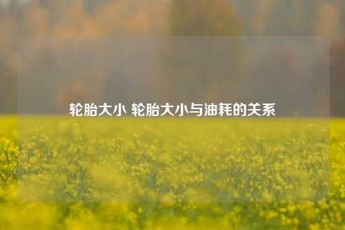 轮胎大小 轮胎大小与油耗的关系