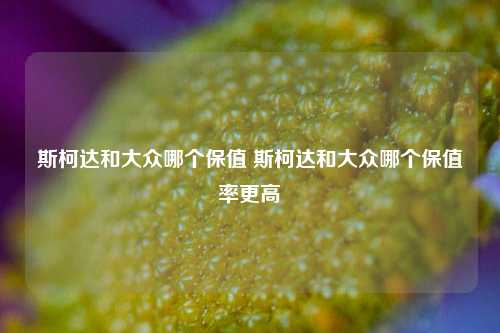 斯柯达和大众哪个保值 斯柯达和大众哪个保值率更高