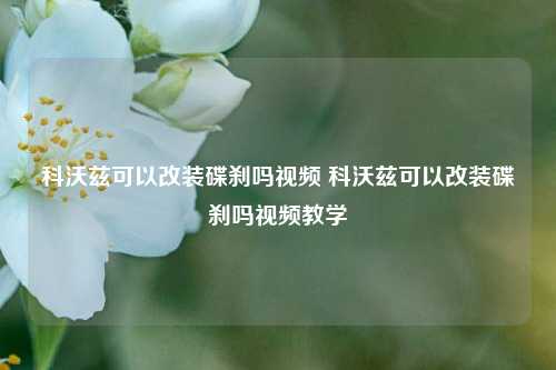 科沃兹可以改装碟刹吗视频 科沃兹可以改装碟刹吗视频教学